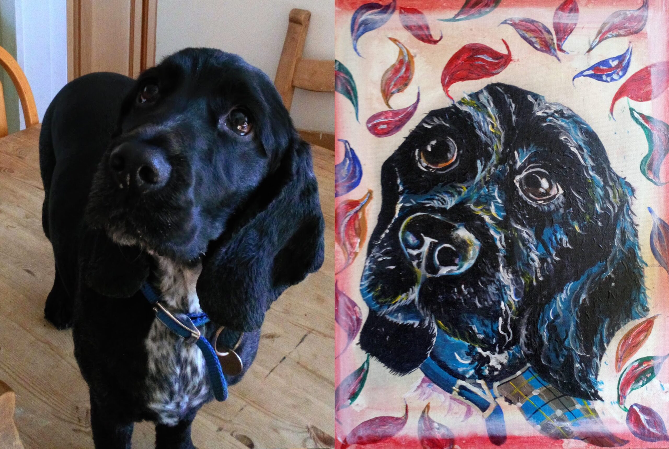 Side by side photo and painting of a custom pet painting of the dog charlie who is a cocker spaniel.