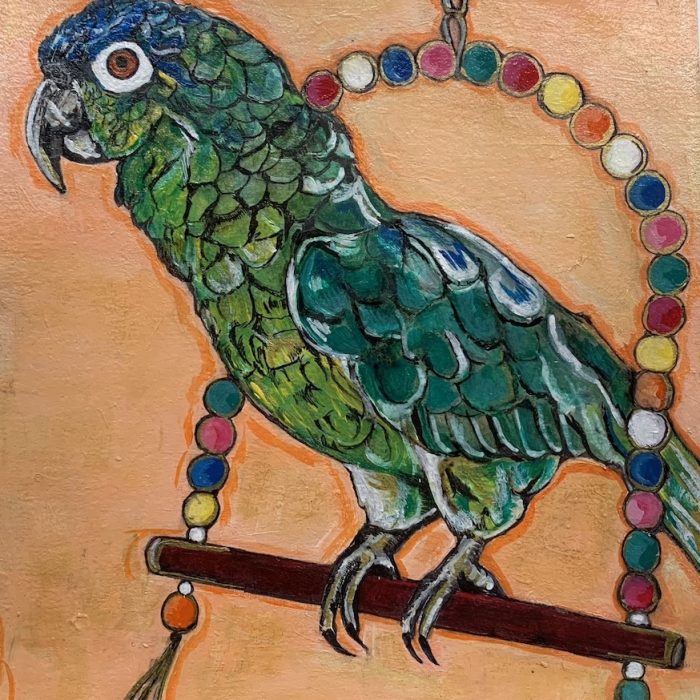 Beto, the green and blue parrot sitting on a swing