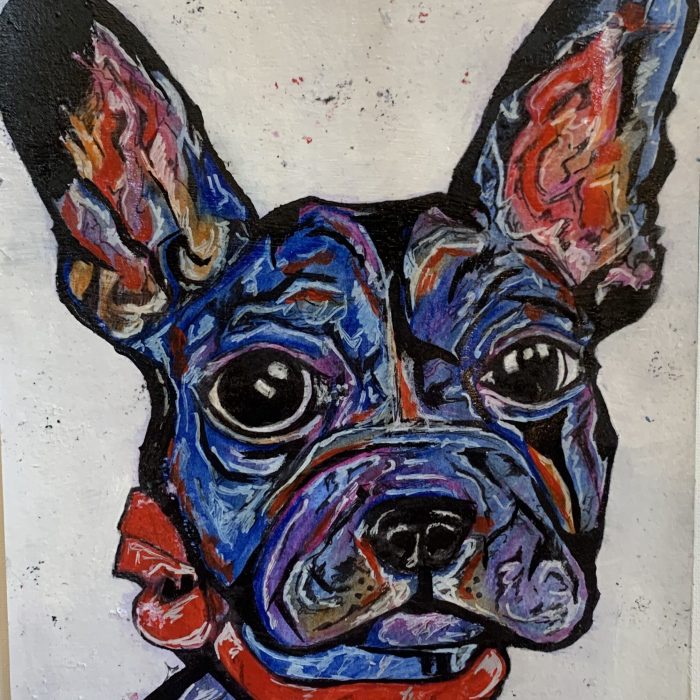 Blue French Bulldog