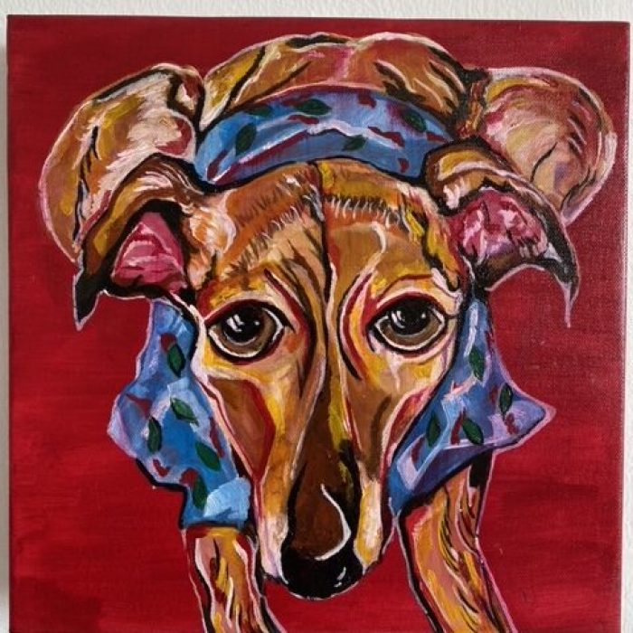 Colourful Greyhound