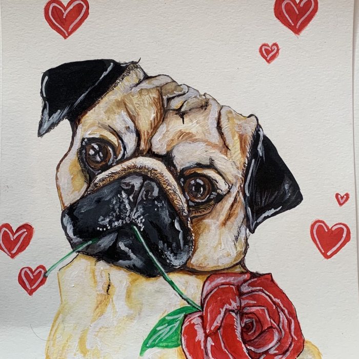 Pug with hearts and holding a rose for Valentines